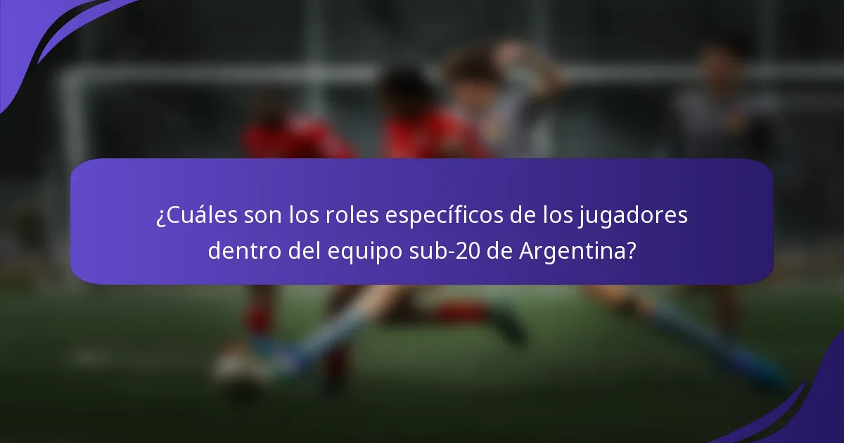 ¿Cuáles son los roles específicos de los jugadores dentro del equipo sub-20 de Argentina?